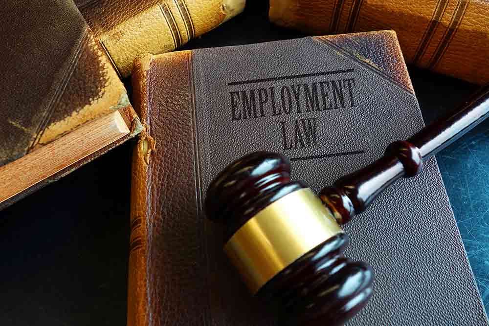 Secure Your Workplace Rights: How an Employment Lawyer in Germany Can Help Expats